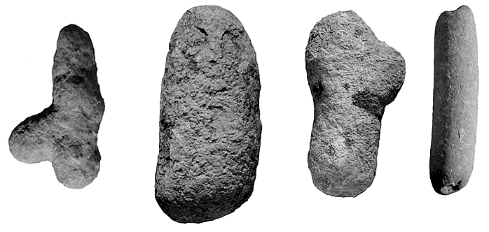 Exemples de priapolithes trouvés dans les Calcaires de Castres et de Labruguière